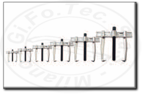 Set di estrattori meccanici a due bracci professionale Rexta 690.s6