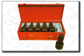 Serie bussole a brugola per avvitatore 3/4 fermec 541061