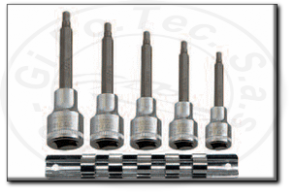 assortimento bussole a brugola professionali lunghe con attacco 1/2" rexta 212.gcl5
