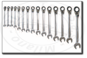 Serie chiavi combinate a cricchetto professionali Rexta 51.s15