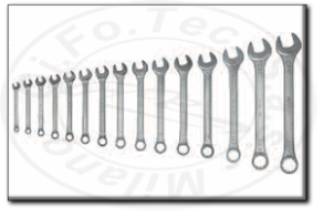 Serie chiavi combinate professionali Rexta 49.S15
