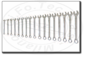 Serie chiavi combinate professionali Rexta 50.s17