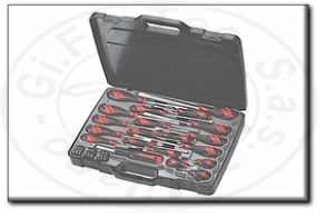 Valigetta cacciaviti e inserti assortiti tengtools md9053