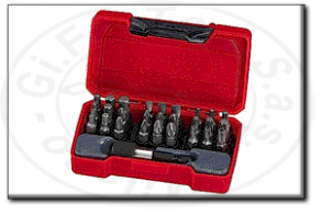 Assortimento inserti per avvitatori teng tools tm028