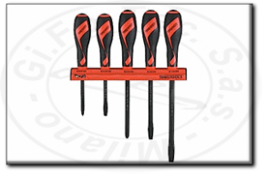 Kit cacciaviti con rastrelliera tengtools wrmdt05n